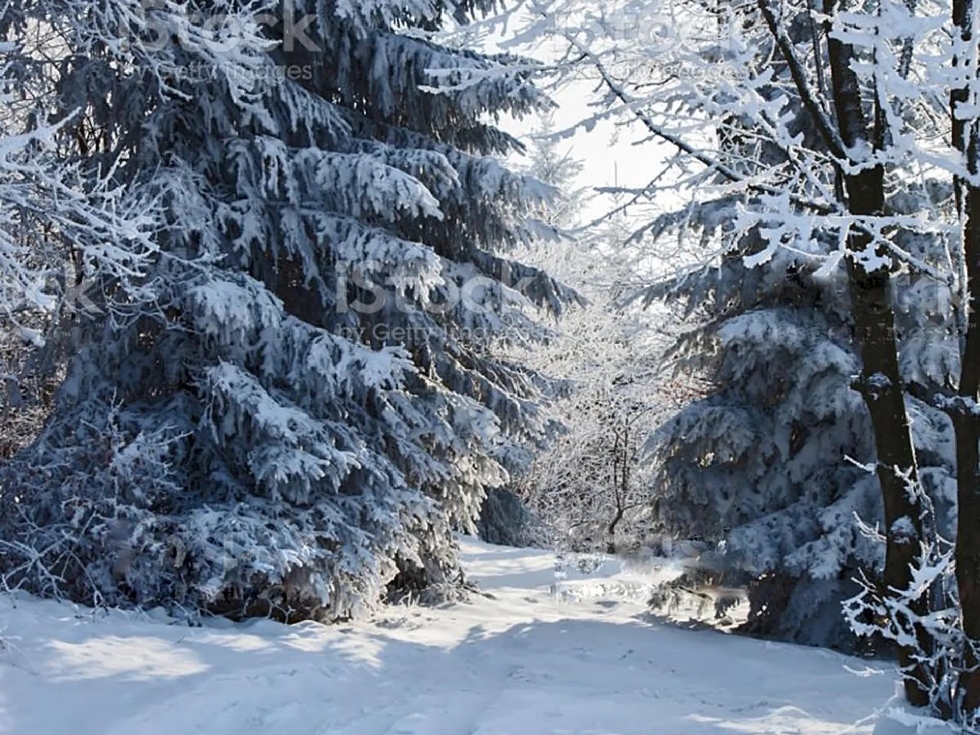 00 Bowen Road Waitsfield VT 05673