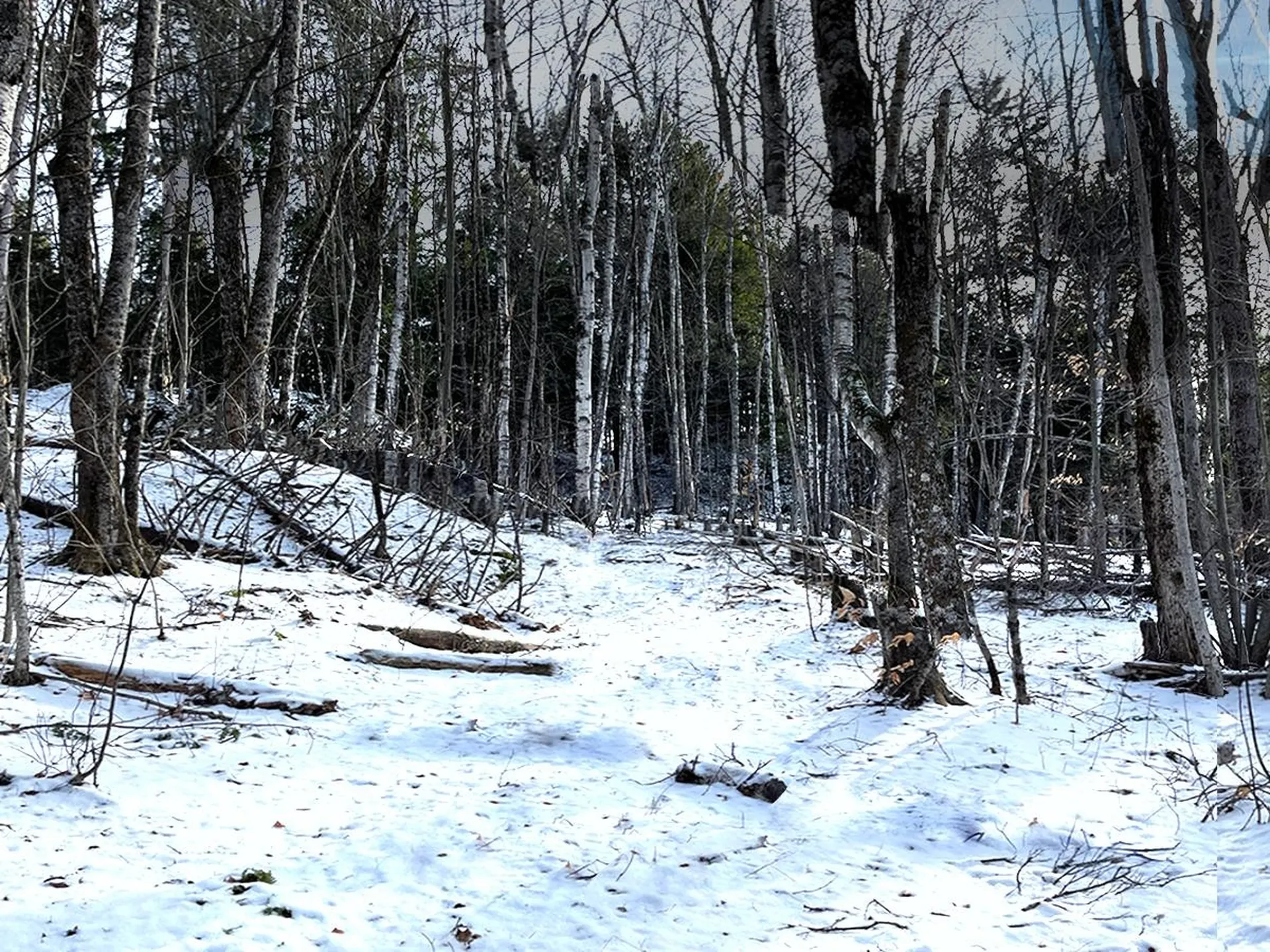 00 Bowen Road Waitsfield VT 05673