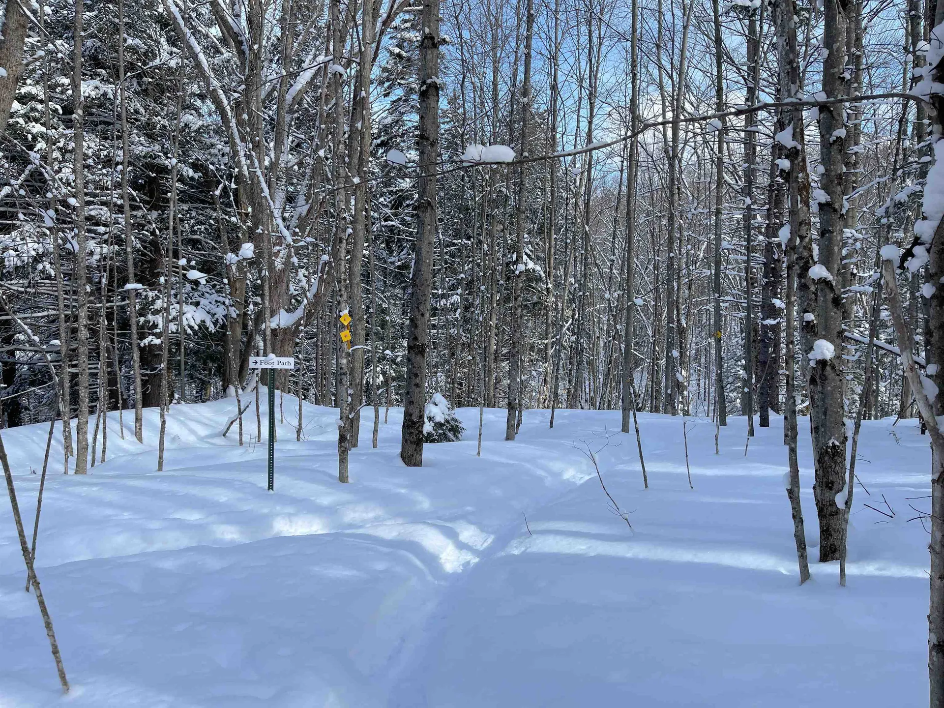 00 Bowen Road Waitsfield VT 05673