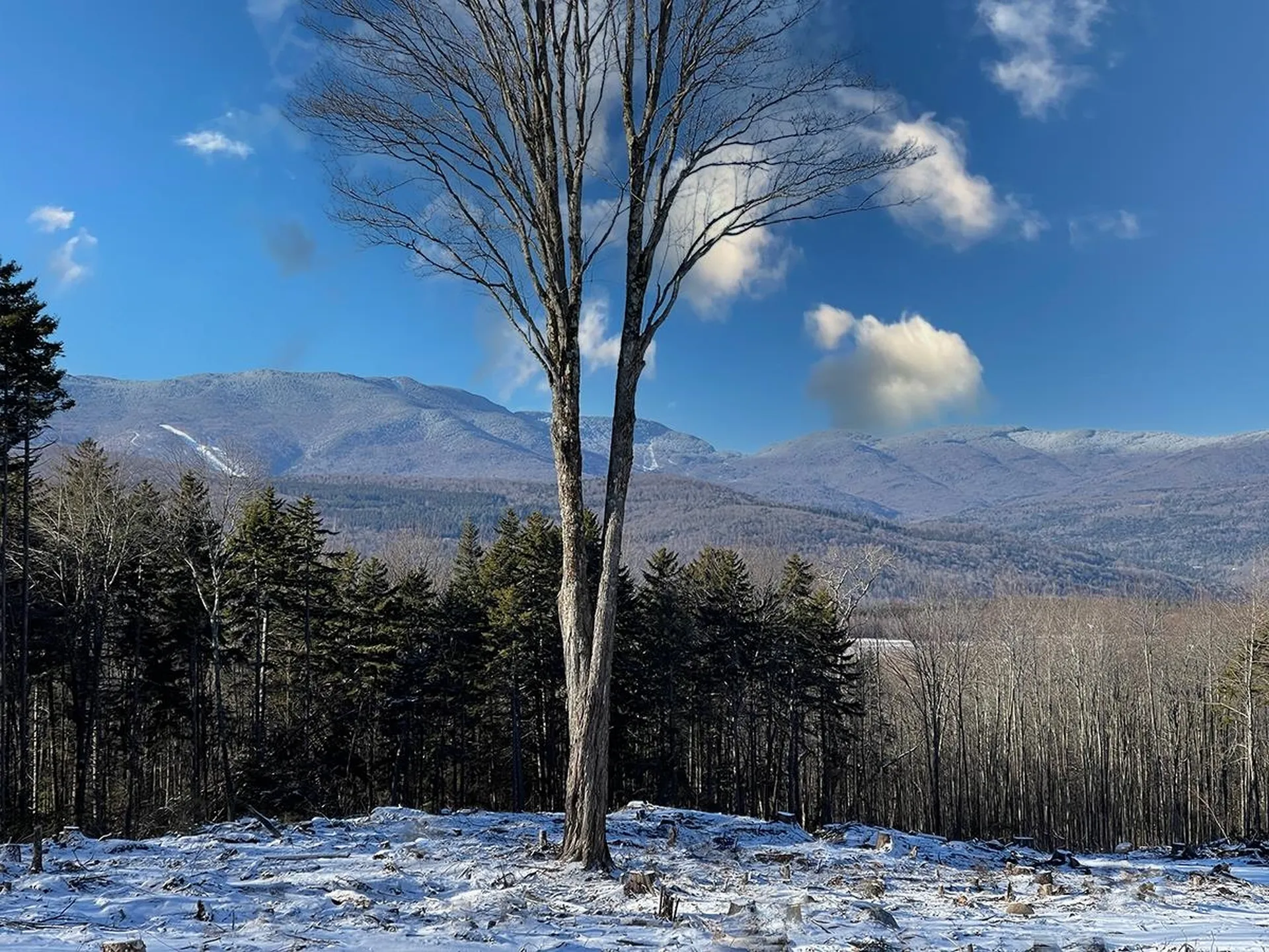 00 Bowen Road Waitsfield VT 05673