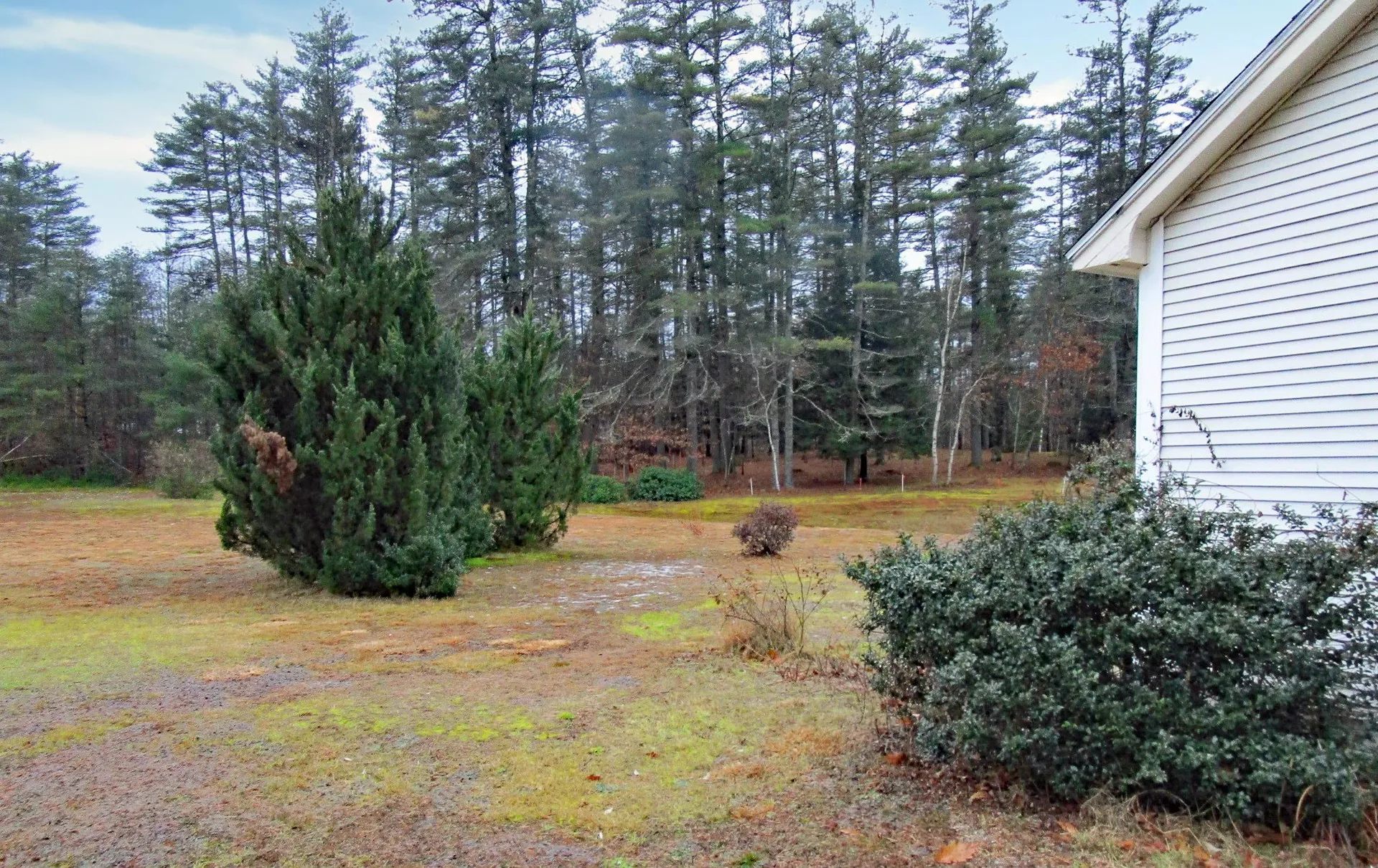 41 Pine Meadow Road New Hampton NH 03256