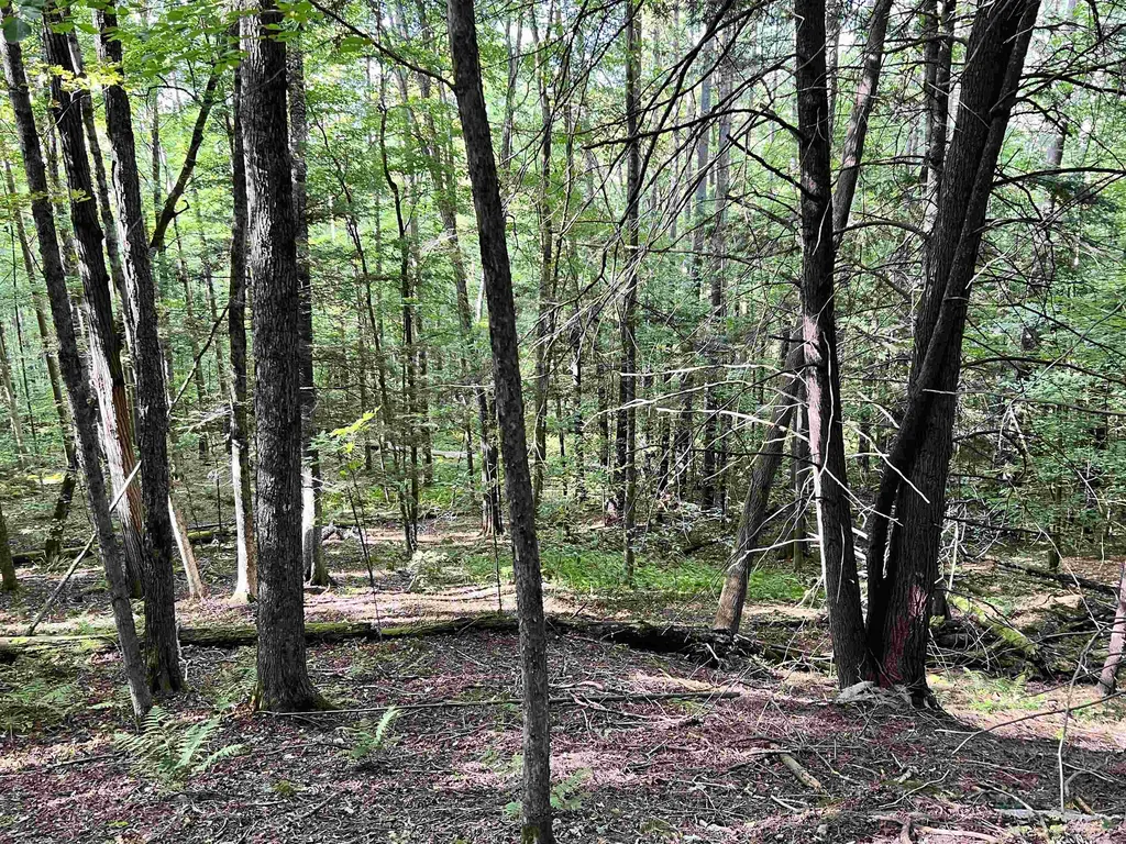 253 Garvin Hill Road Hartland VT 05048