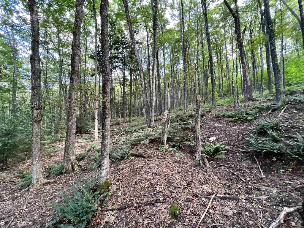 253 Garvin Hill Road Hartland VT 05048
