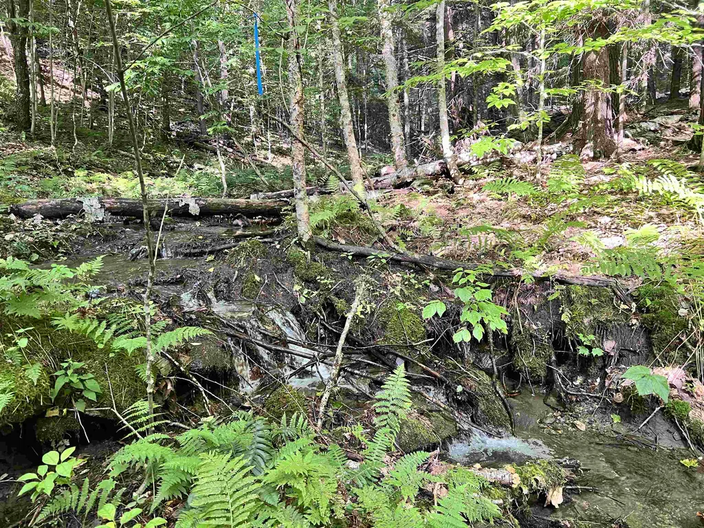 253 Garvin Hill Road Hartland VT 05048