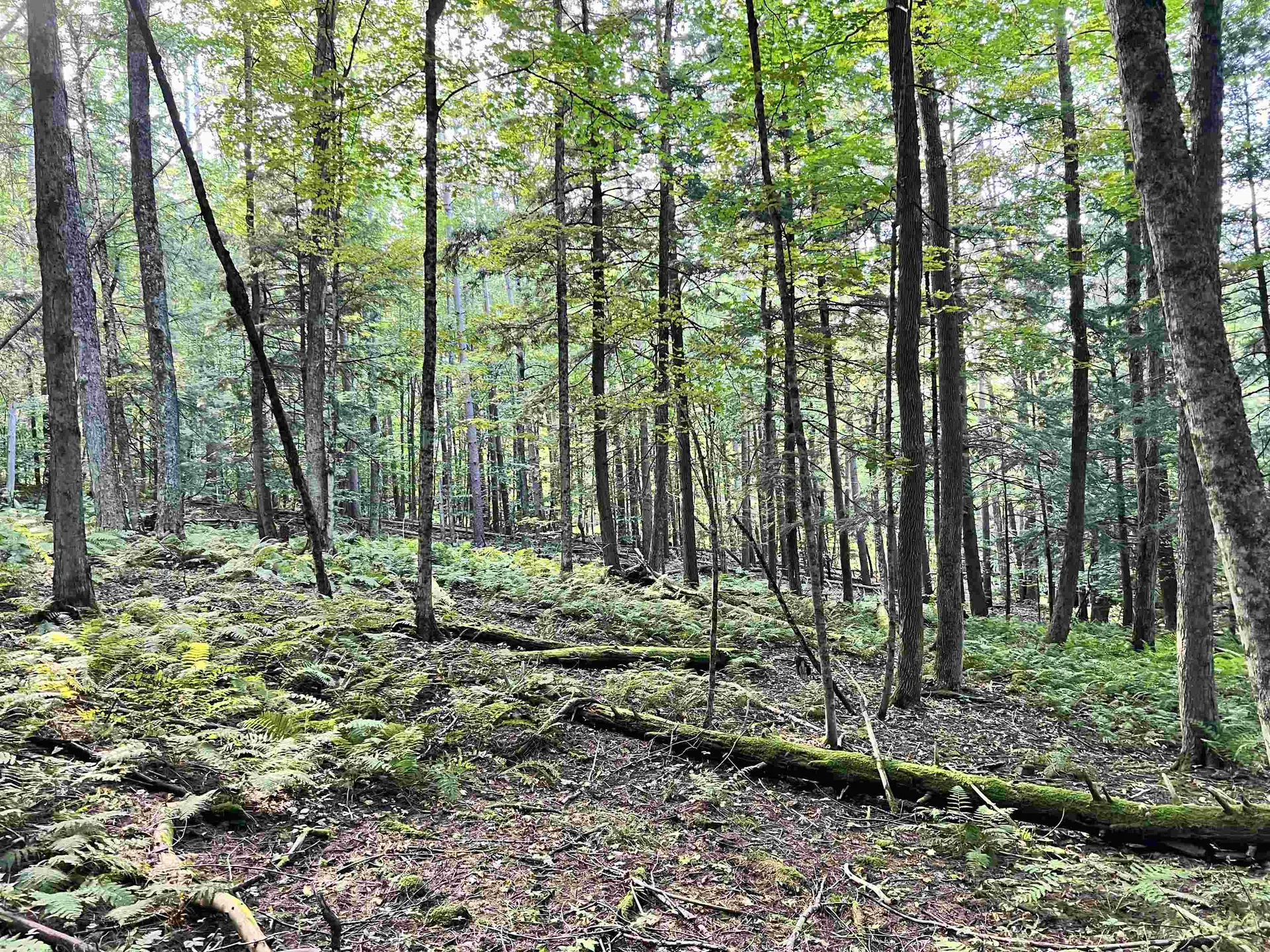 253 Garvin Hill Road Hartland VT 05048