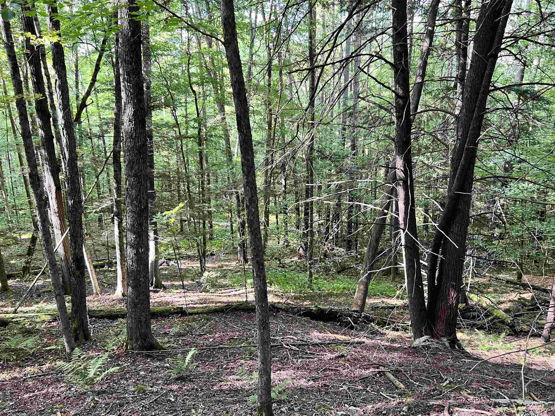 253 Garvin Hill Road Hartland VT 05048