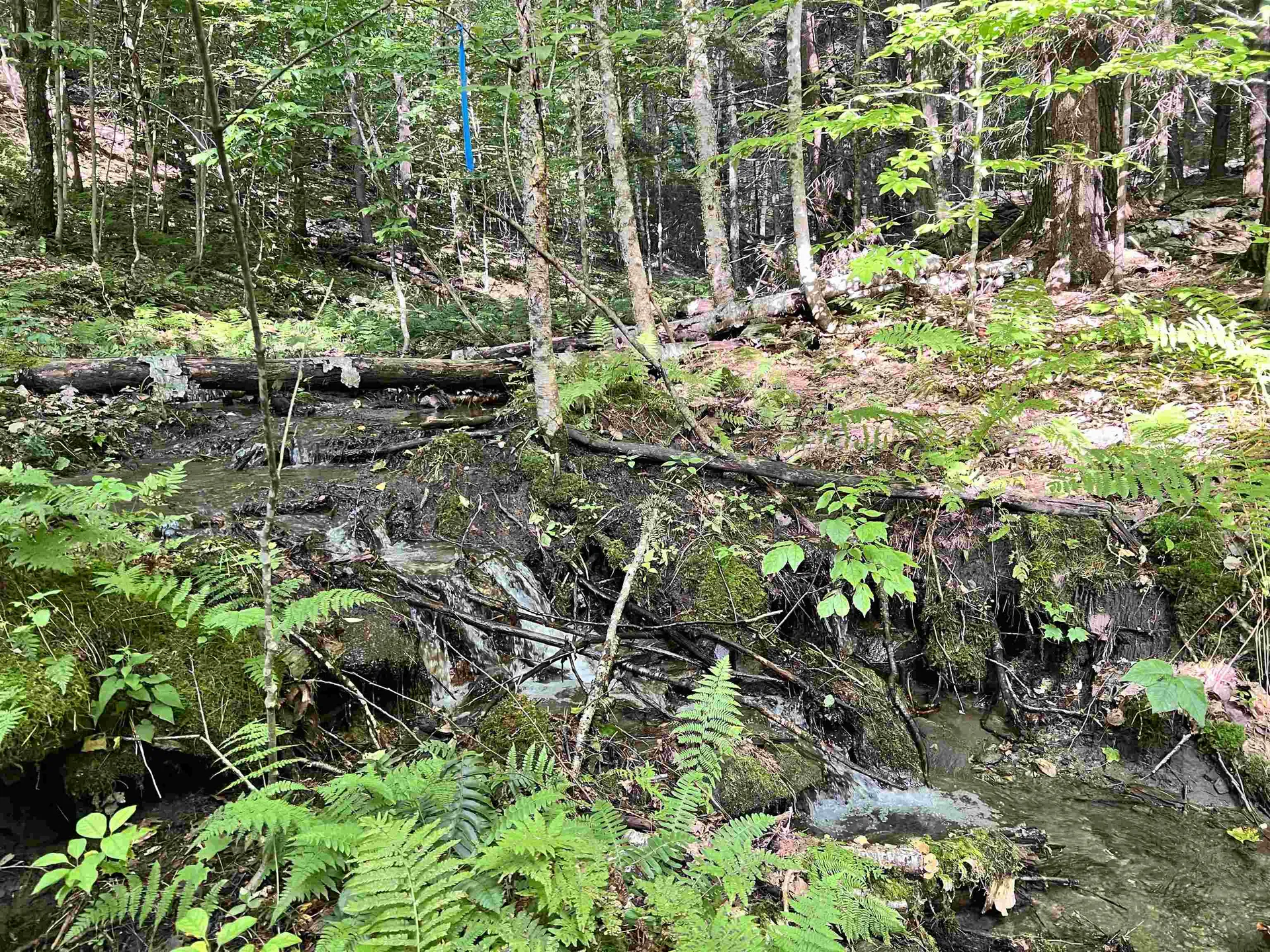 253 Garvin Hill Road Hartland VT 05048