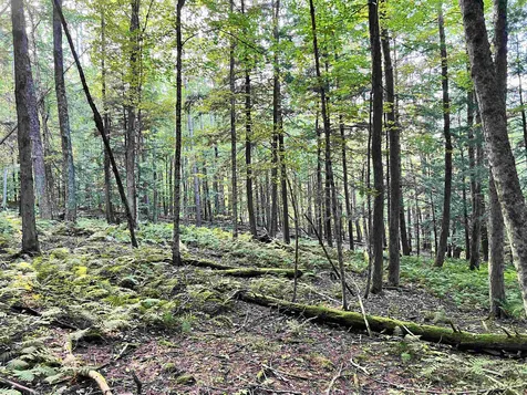 253 Garvin Hill Road Hartland VT 05048