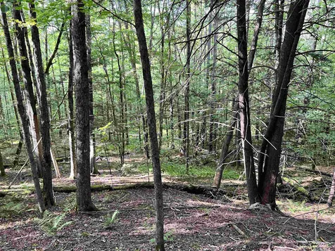 253 Garvin Hill Road Hartland VT 05048