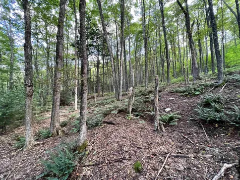 253 Garvin Hill Road Hartland VT 05048