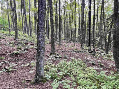 253 Garvin Hill Road Hartland VT 05048