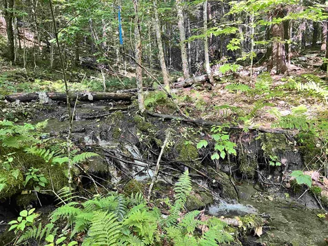 253 Garvin Hill Road Hartland VT 05048