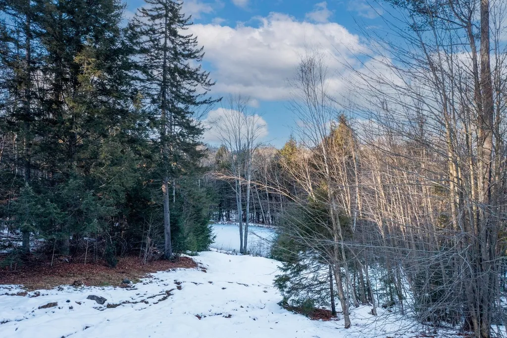 411 Stratton Gate Road Jamaica VT 05343