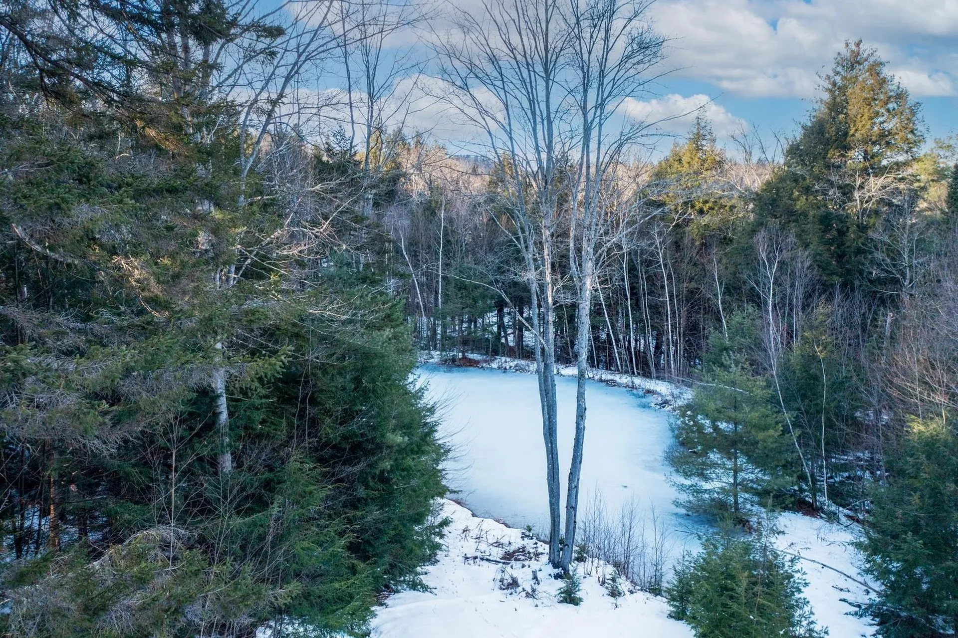 411 Stratton Gate Road Jamaica VT 05343