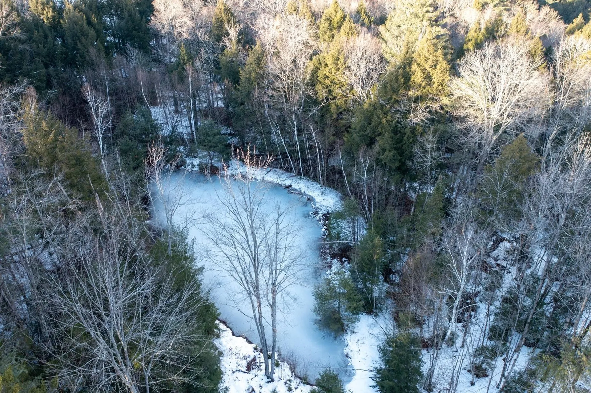 411 Stratton Gate Road Jamaica VT 05343