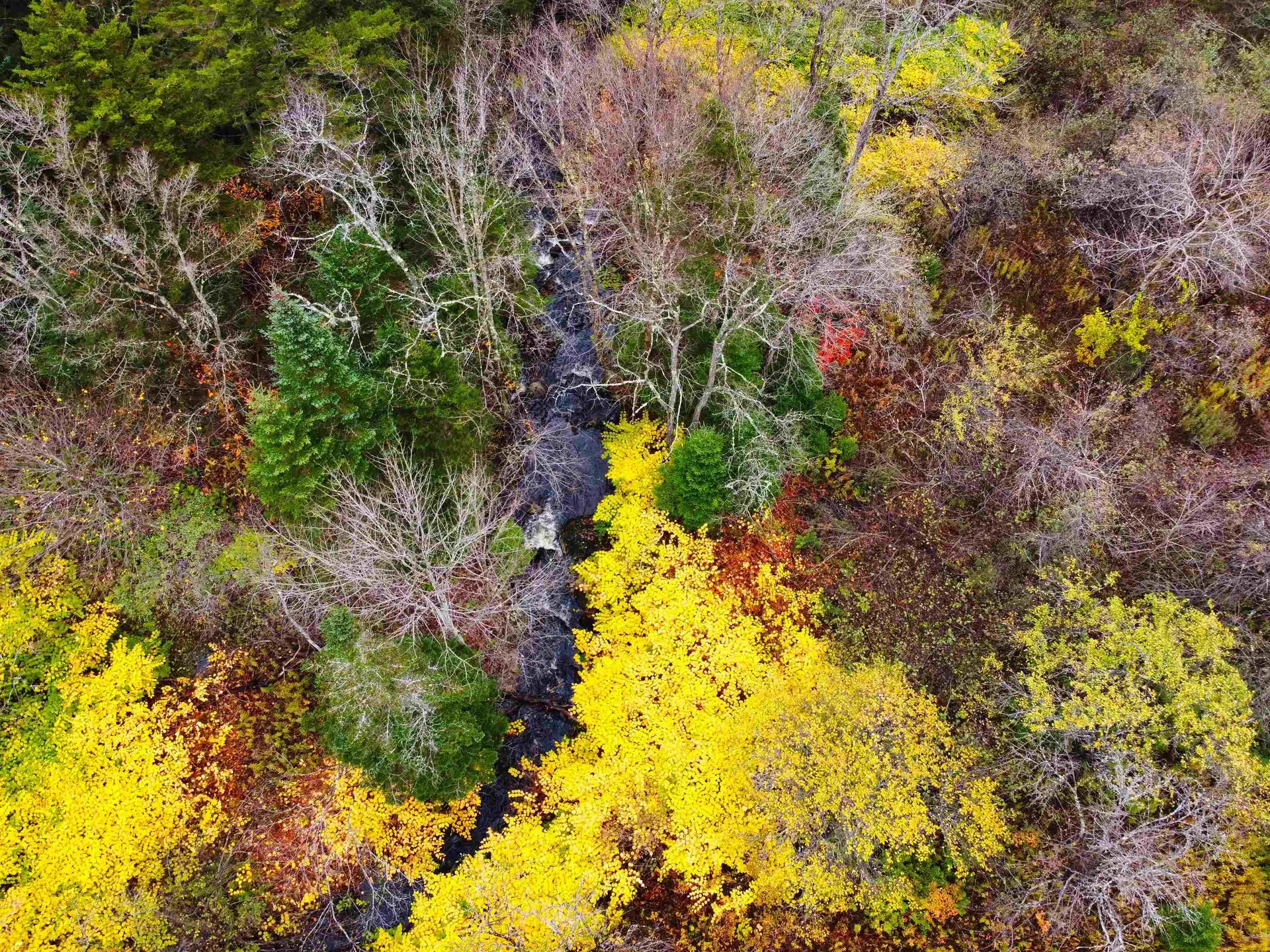 City Stream Road Woodford VT 05201