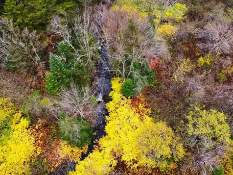 City Stream Road Woodford VT 05201