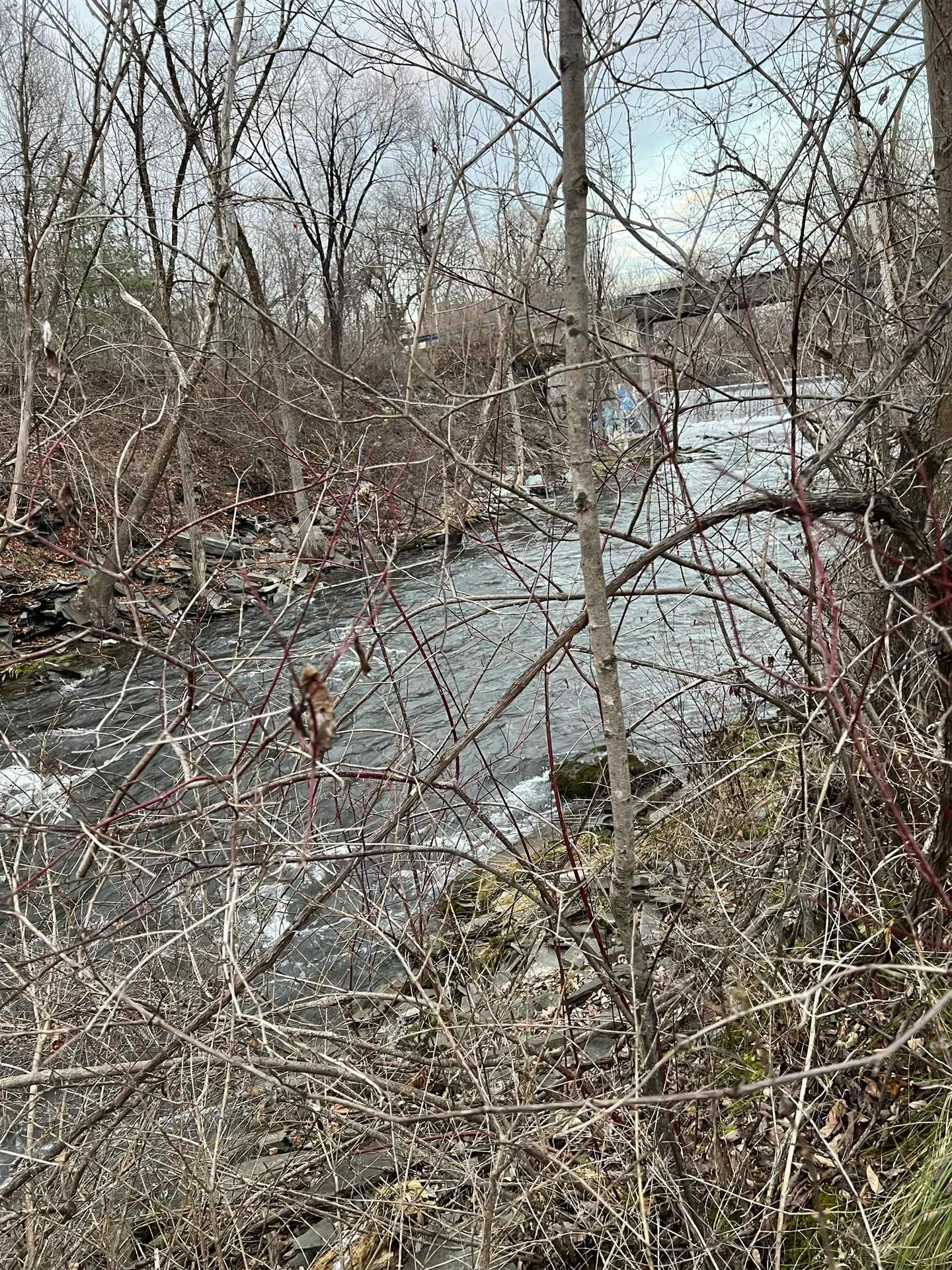 0 Adams & Prospect Street Fair Haven VT 05743