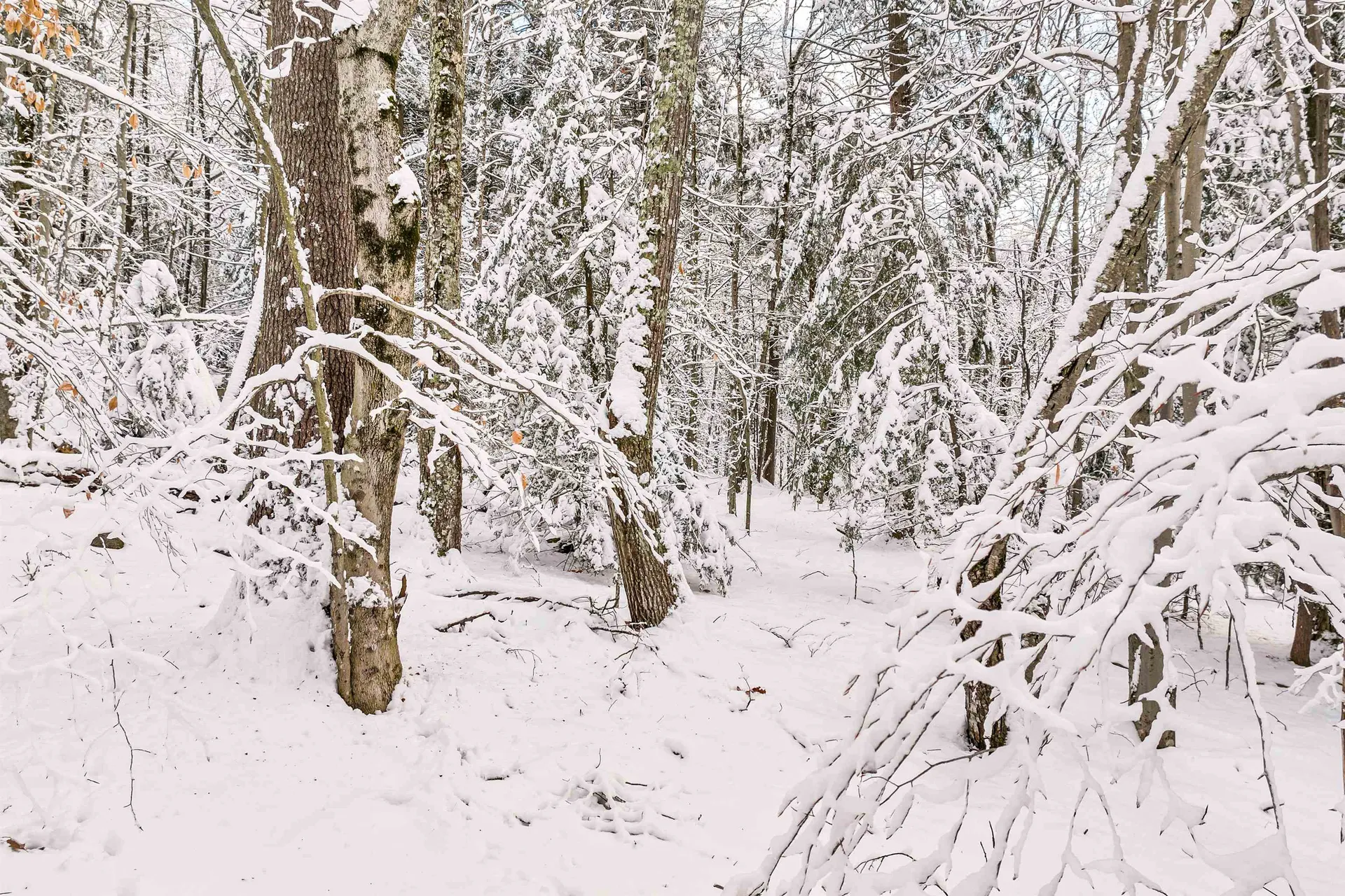 0 Innsbruck Drive New Durham NH 03855