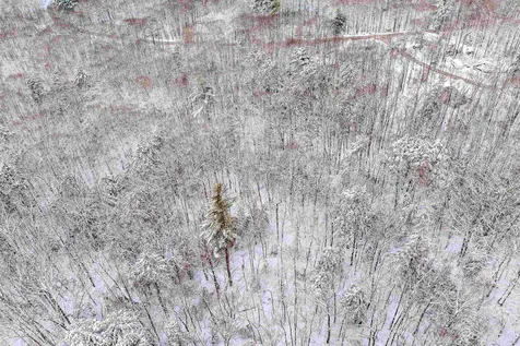 0 Innsbruck Drive New Durham NH 03855