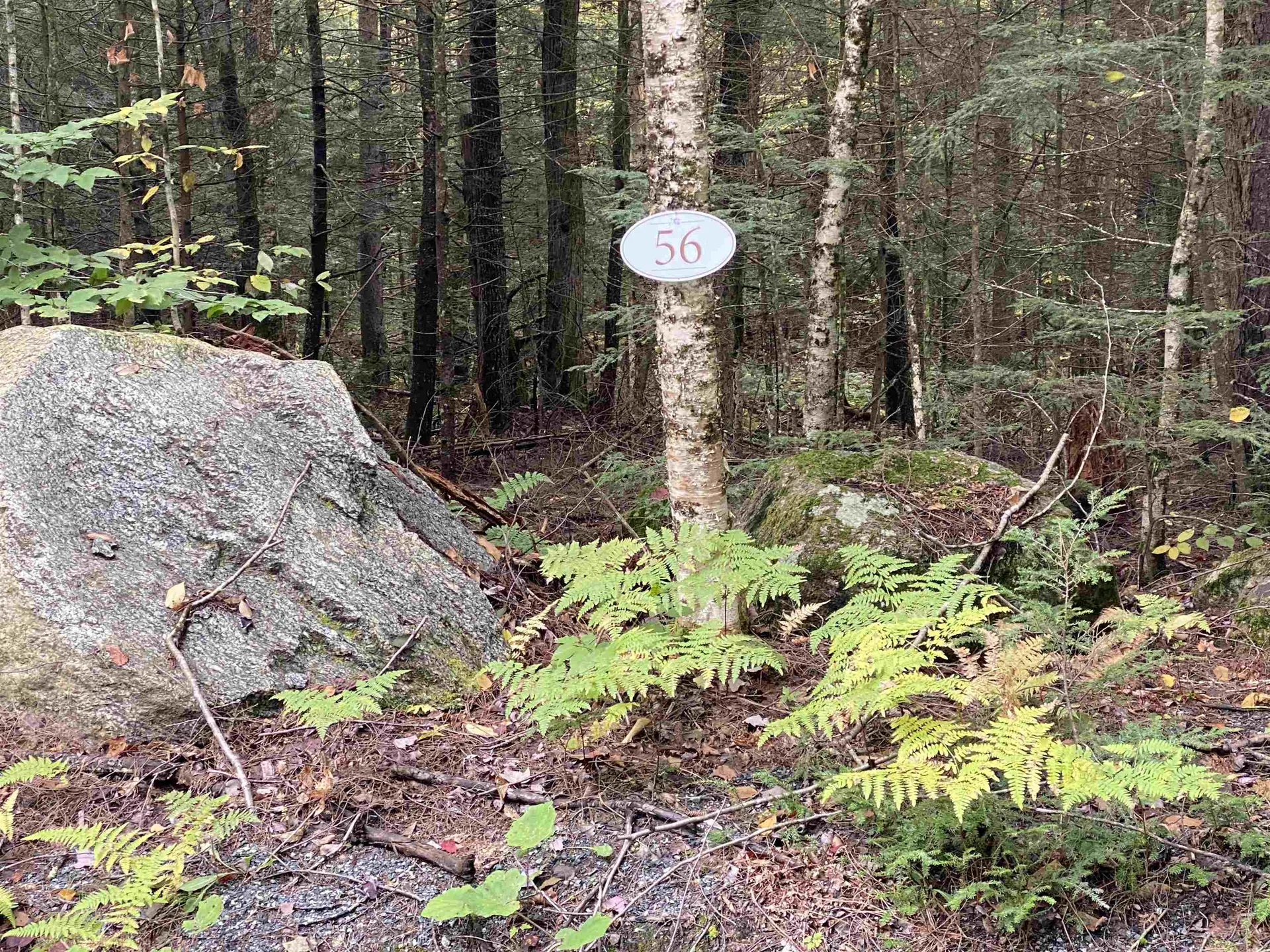 56 Longwood Drive Grantham NH 03753