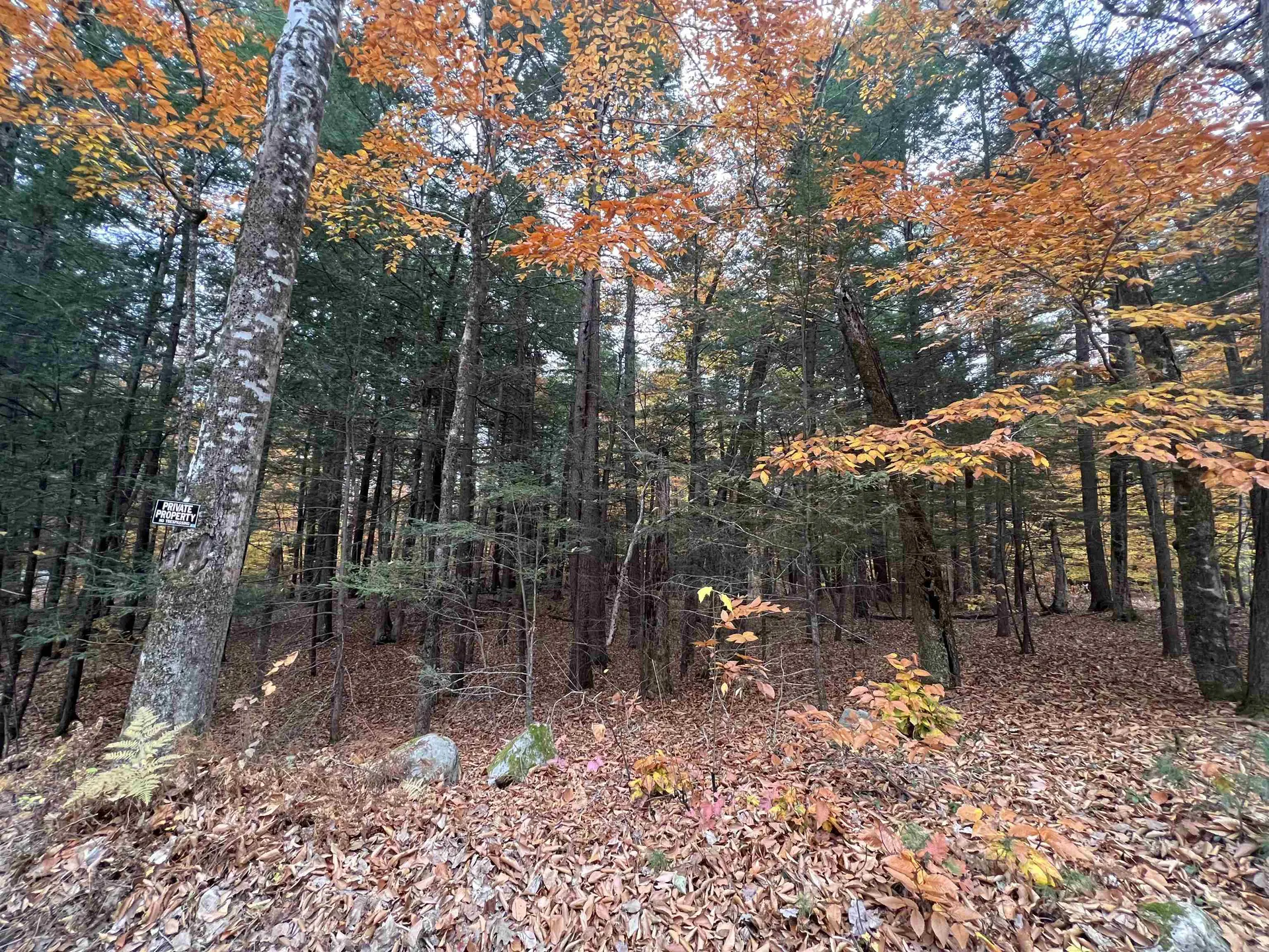 U26-20 Cummings Cove Road Meredith NH 03253