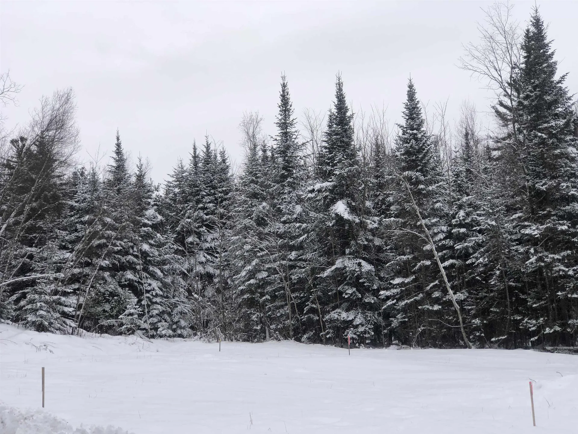 88 Lorraine Lane Hyde Park VT 05655