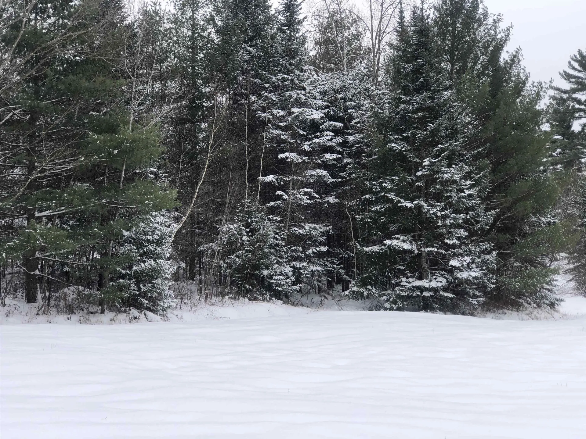 88 Lorraine Lane Hyde Park VT 05655