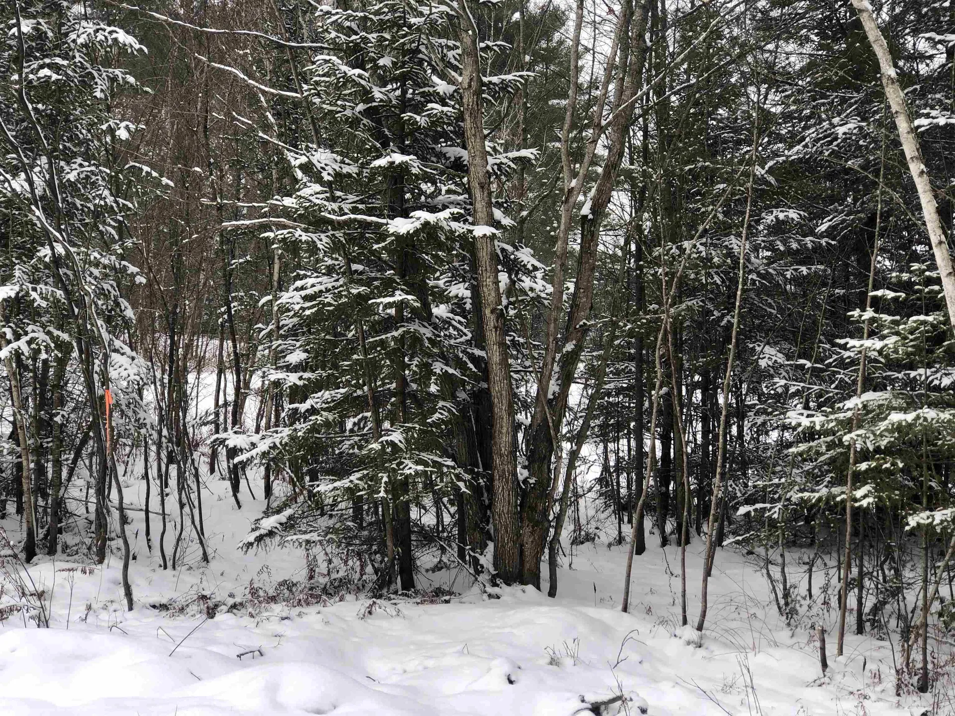 88 Lorraine Lane Hyde Park VT 05655