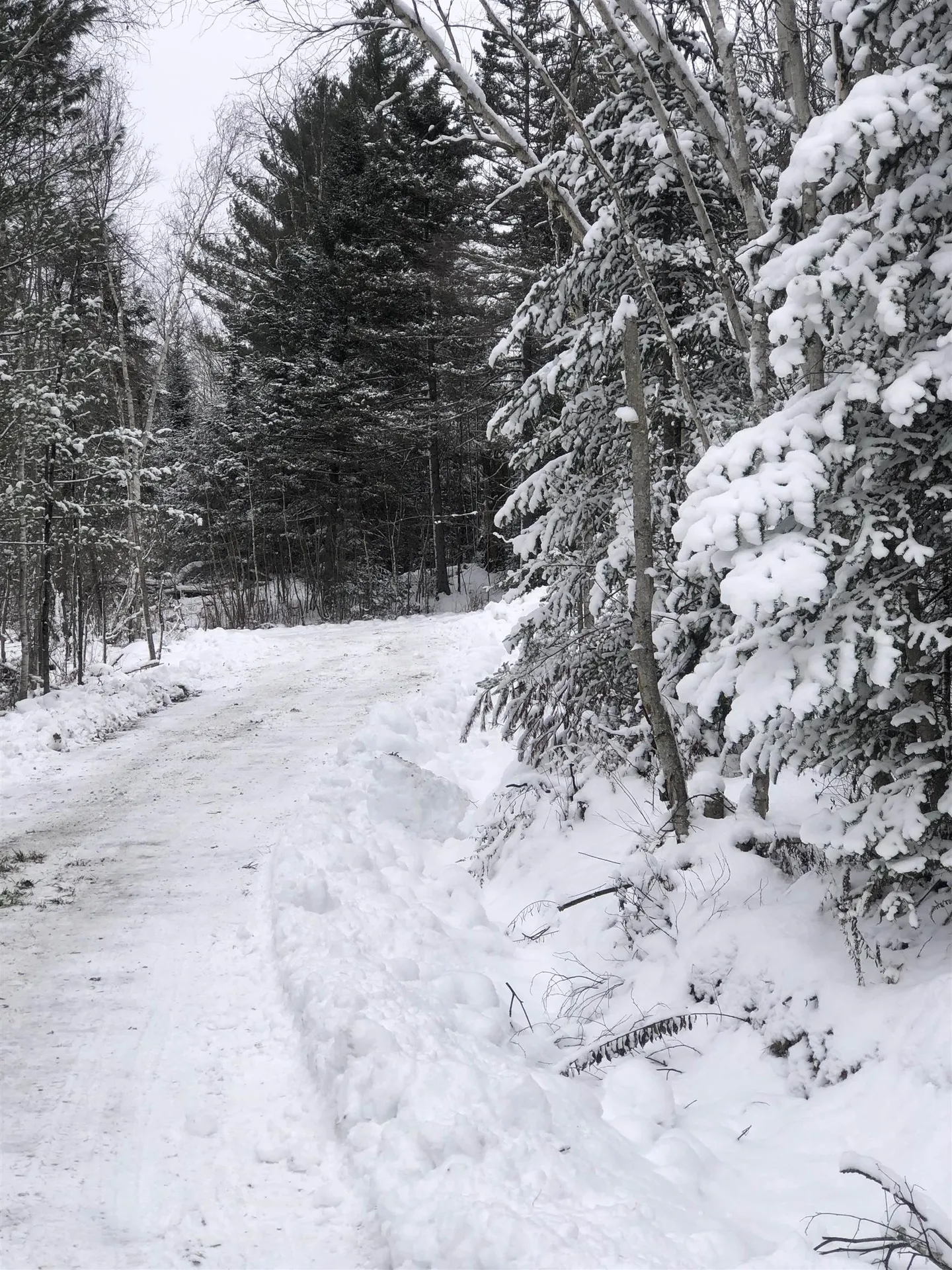 88 Lorraine Lane Hyde Park VT 05655