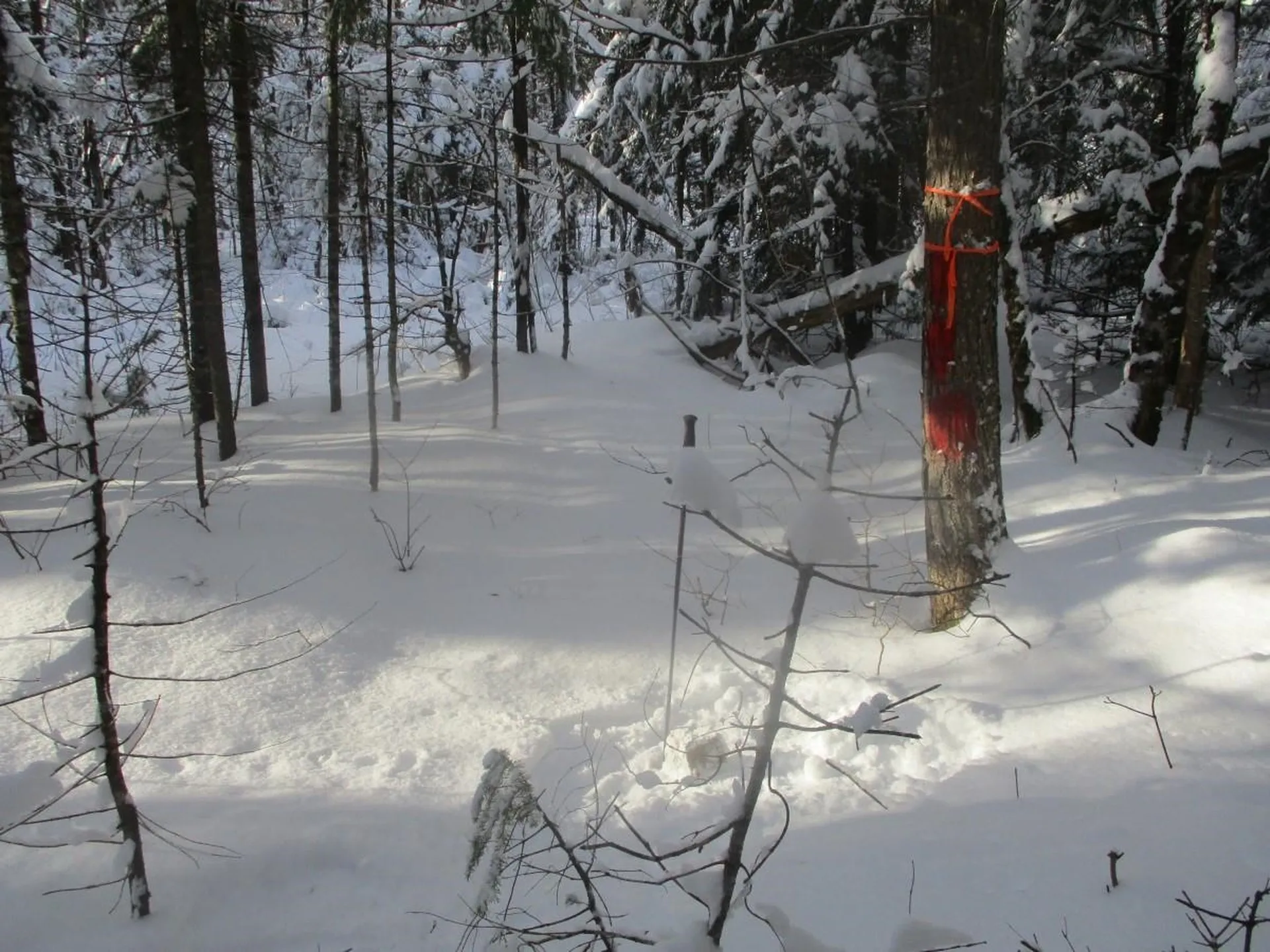 000 Off Shover Road Eden VT 05652