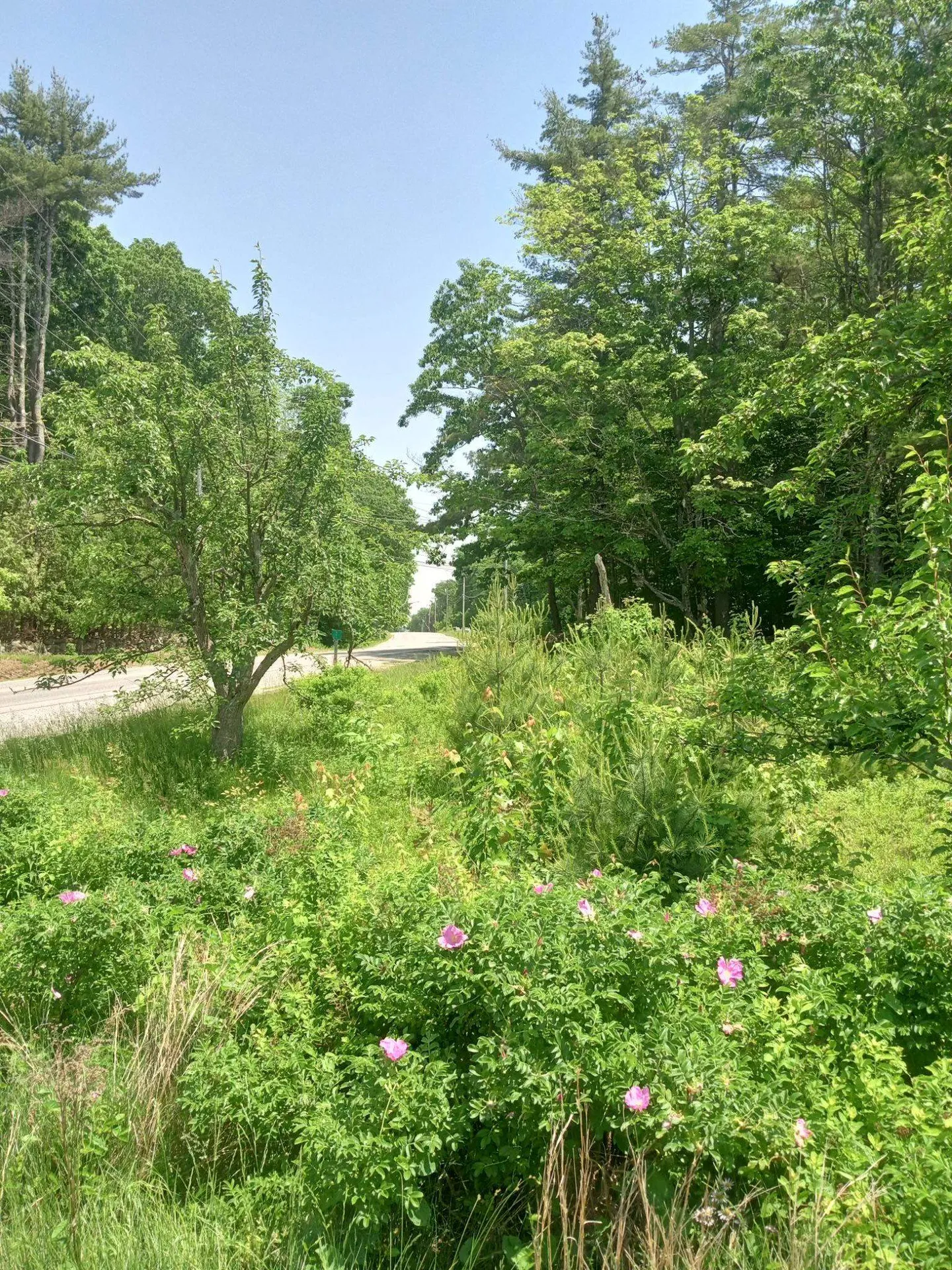 0 Route 119 Fitzwilliam NH 03445