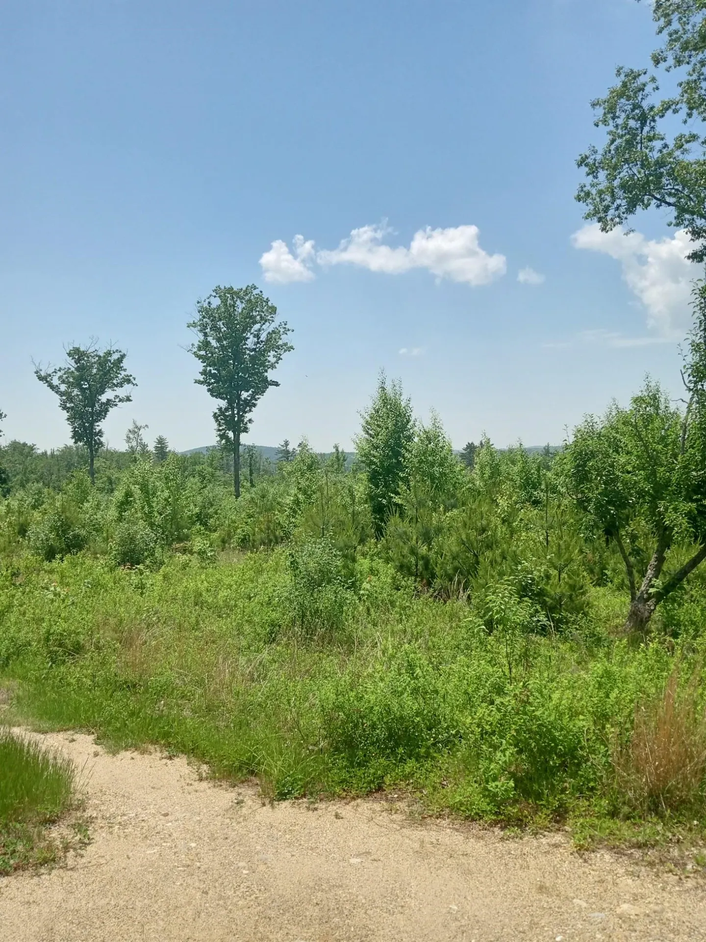 0 Route 119 Fitzwilliam NH 03445