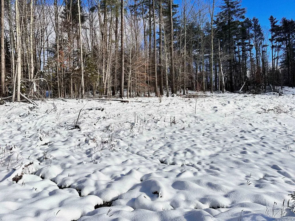 2364 Mountain Road Stowe VT 05672