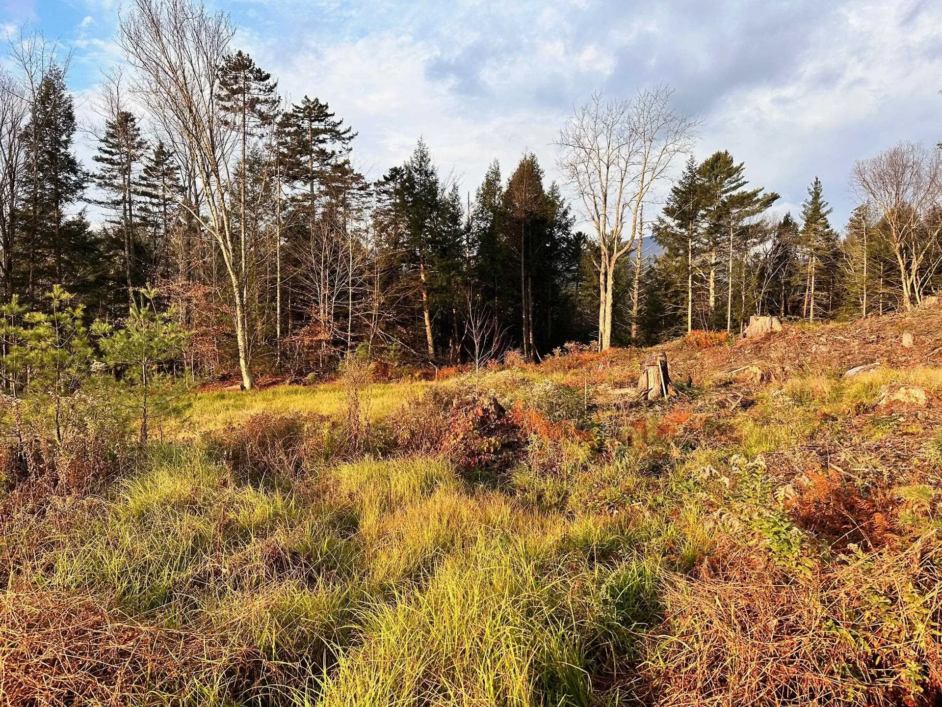 2364 Mountain Road Stowe VT 05672