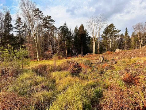2364 Mountain Road Stowe VT 05672