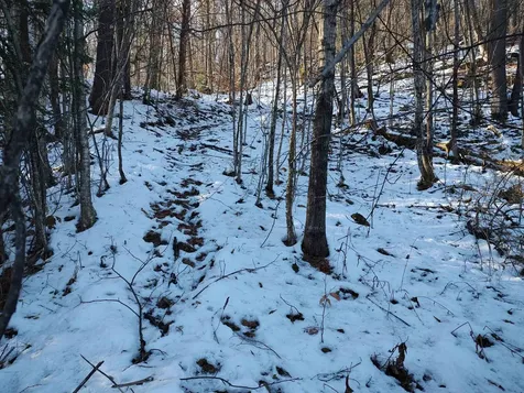 2223 River Road Stockbridge VT 05772