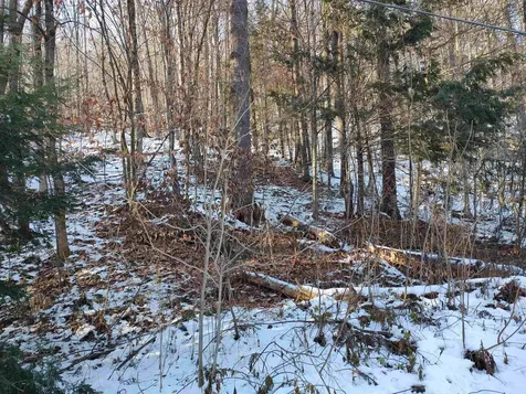 2223 River Road Stockbridge VT 05772