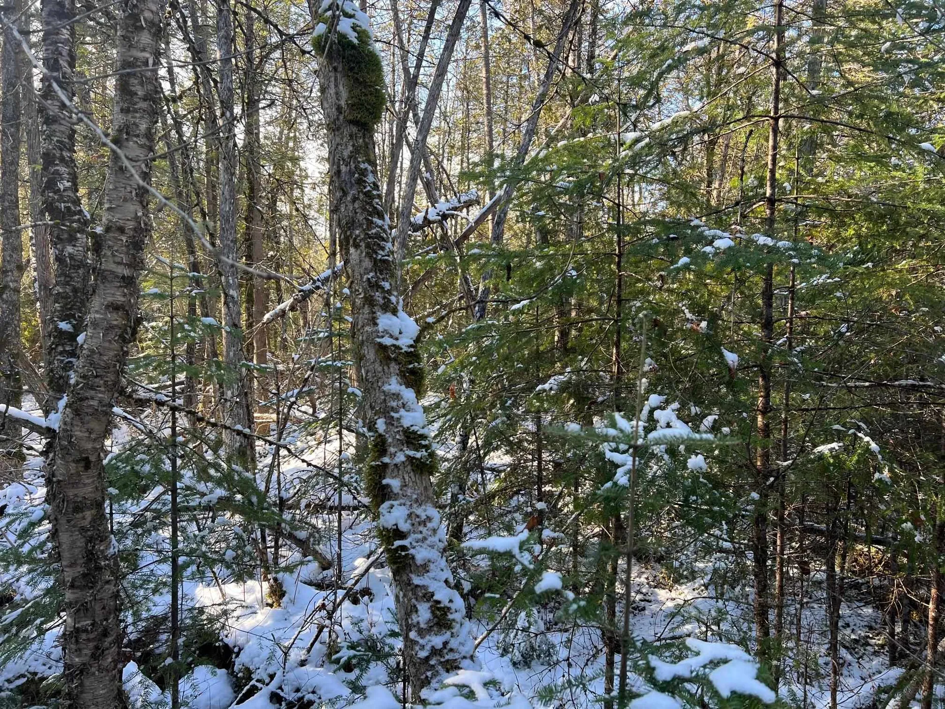00 County Hill Road Barnet VT 05821