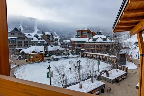 142 Red Sled Drive Stowe VT 05672