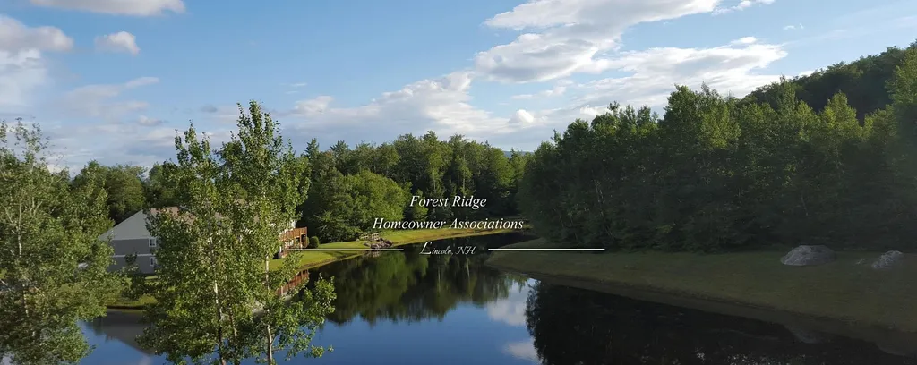 10 Woodsview Lane Lincoln NH 03251