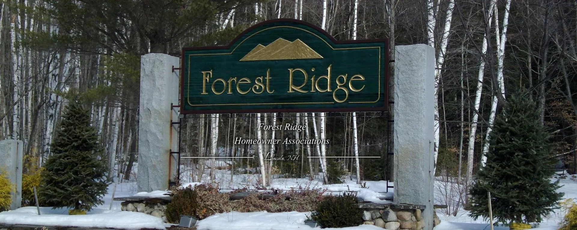10 Woodsview Lane Lincoln NH 03251