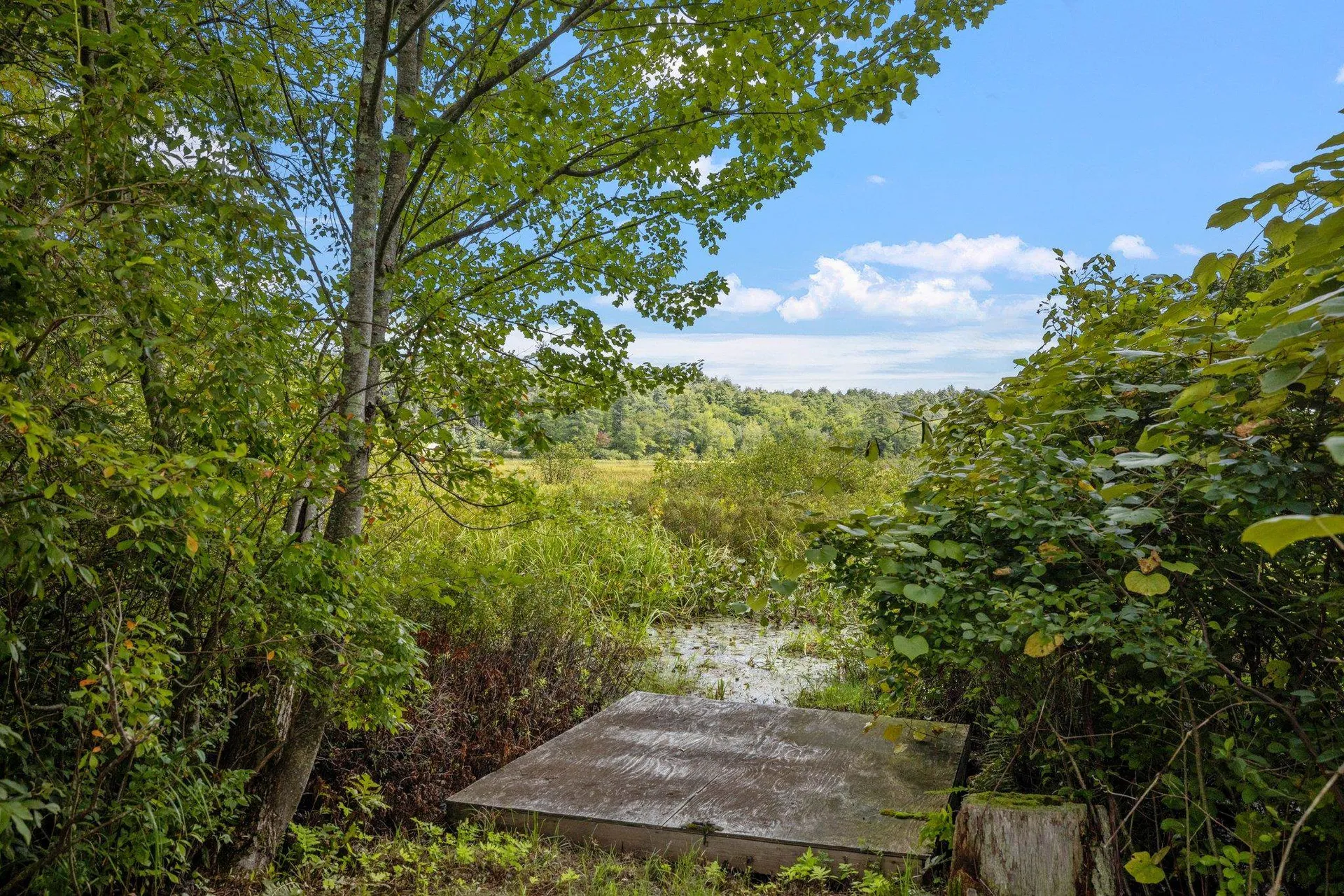 29 Franklin Way Alton NH 03809