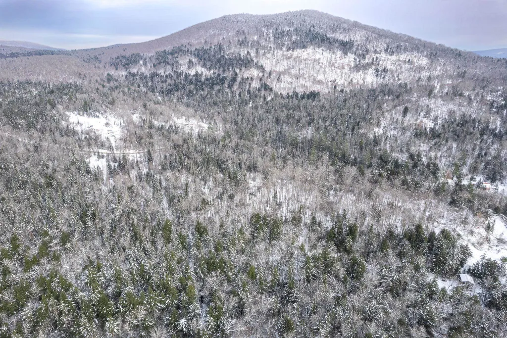 0 Macey Road Middlesex VT 05602-8790