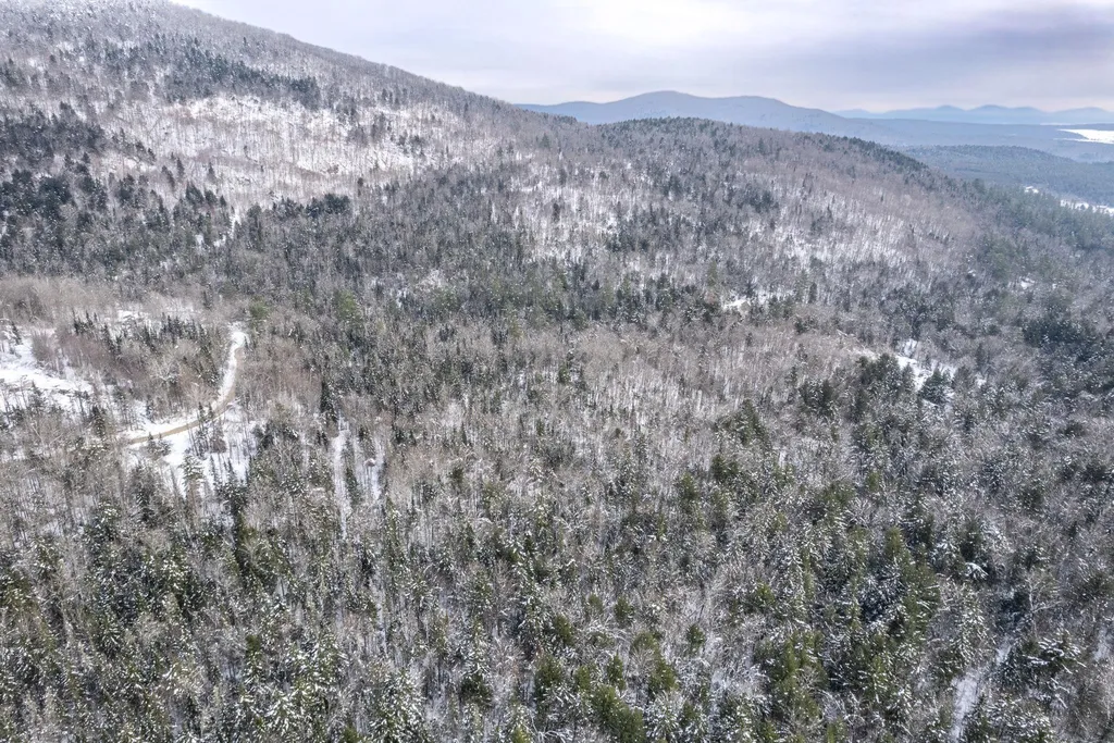 0 Macey Road Middlesex VT 05602-8790