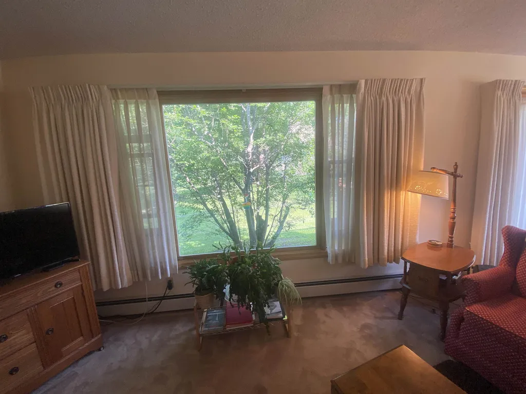 99 Brooklyn Heights Morristown VT 05661