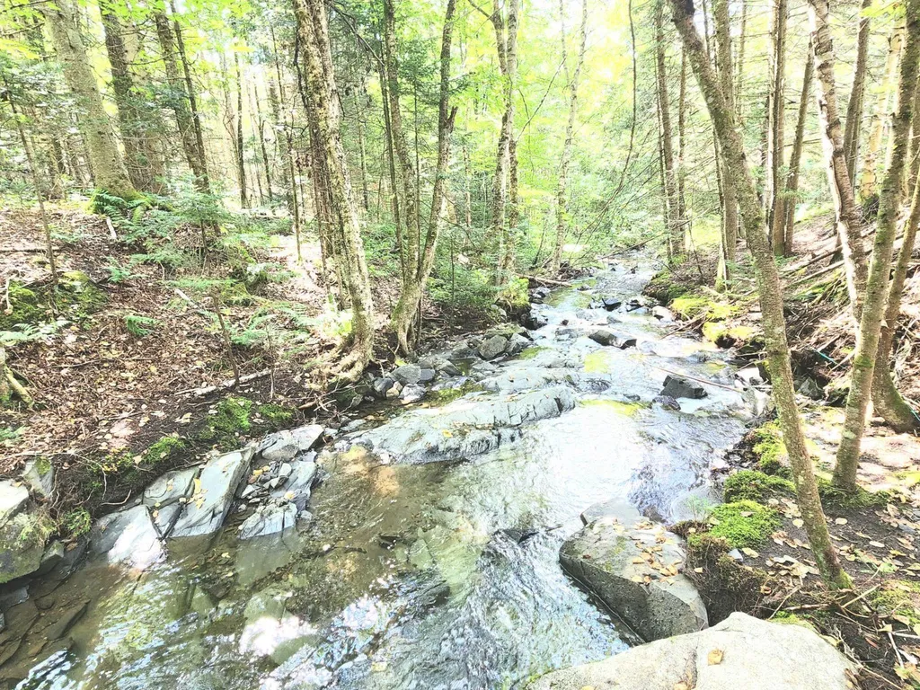 66 Ladd Road Stewartstown NH 03576