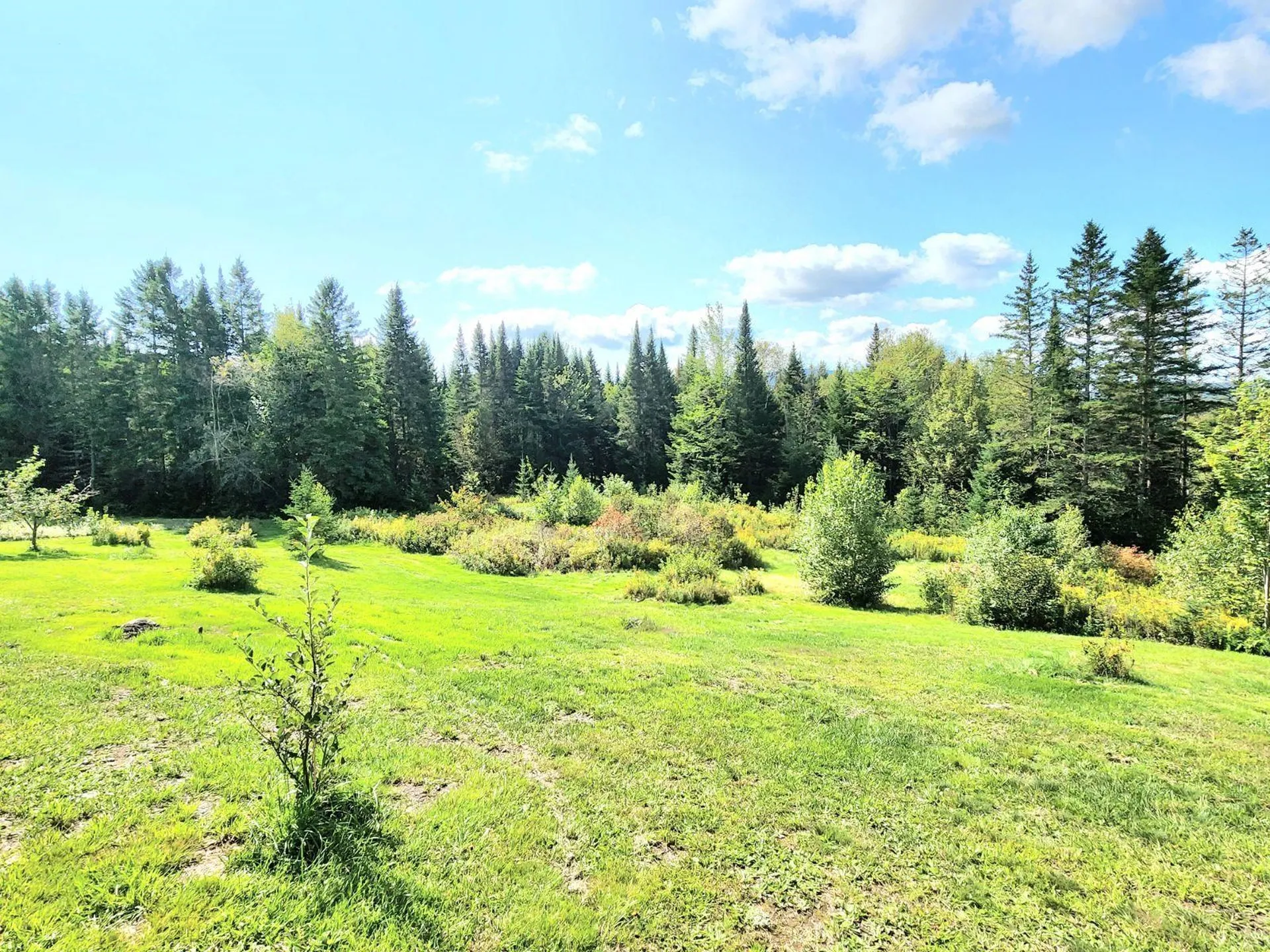 66 Ladd Road Stewartstown NH 03576