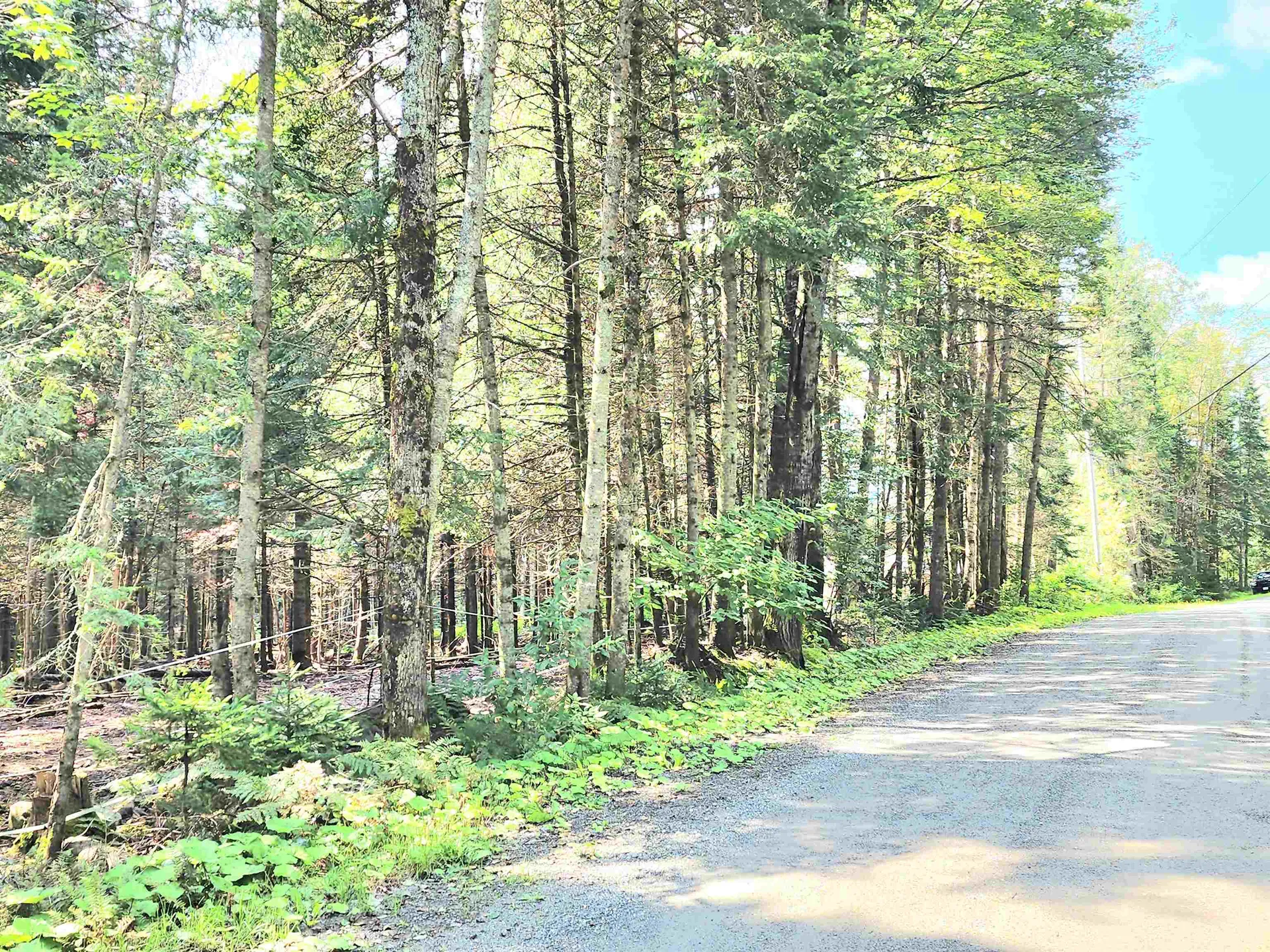 66 Ladd Road Stewartstown NH 03576