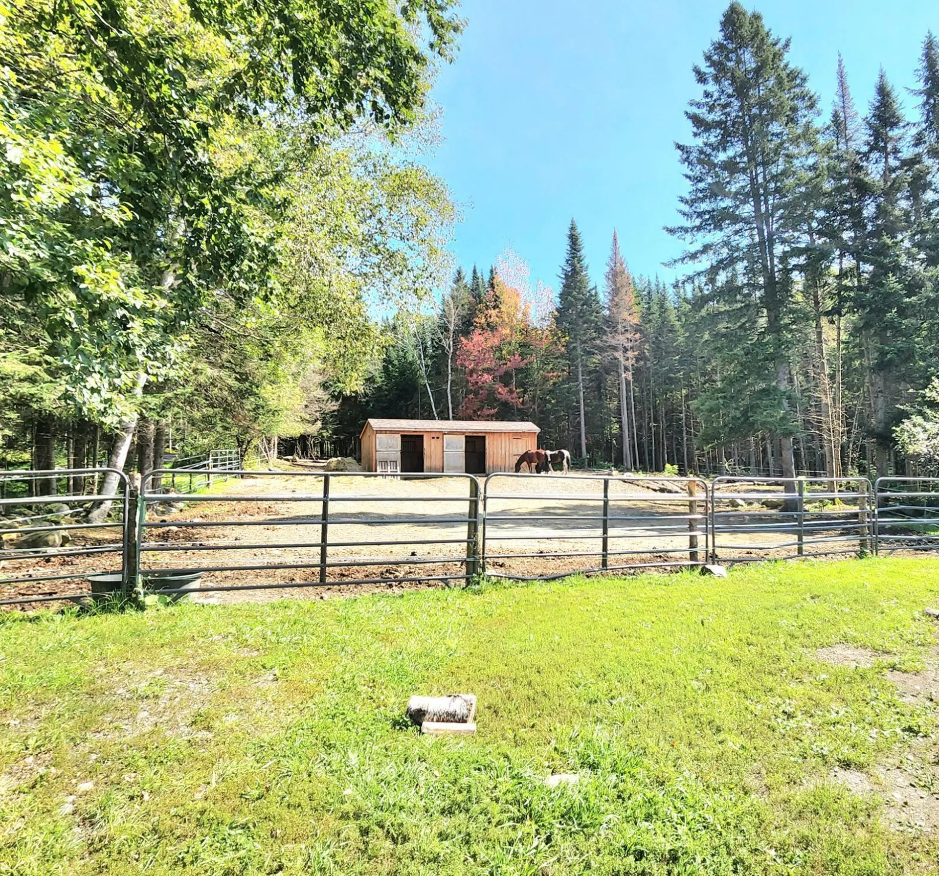 66 Ladd Road Stewartstown NH 03576